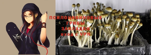 гидра Армянск