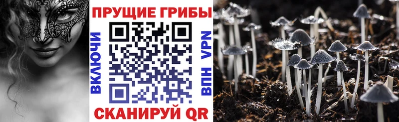 Псилоцибиновые грибы ЛСД  Ивдель 